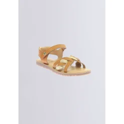 Betty Camel or