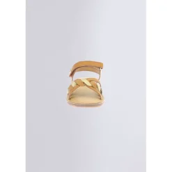 Betty Camel or