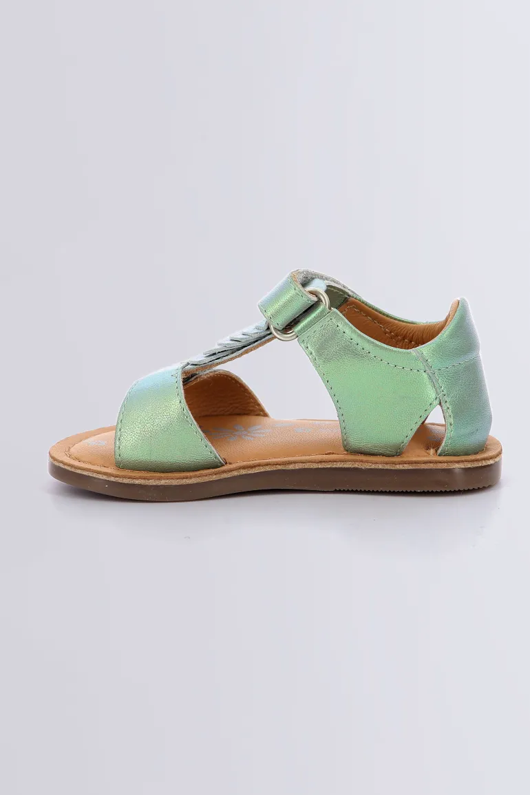 Divazia Vert irise