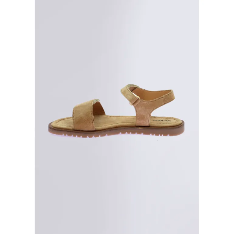 Kick braida Camel