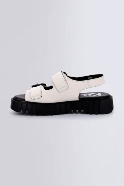 Kick Falk Blanc