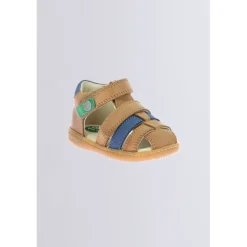 Kick Pod Camel