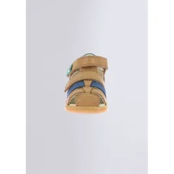 Kick Pod Camel