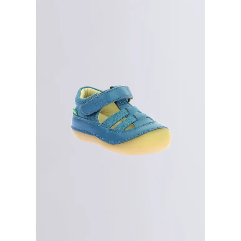 Kick Sushyk Bleu