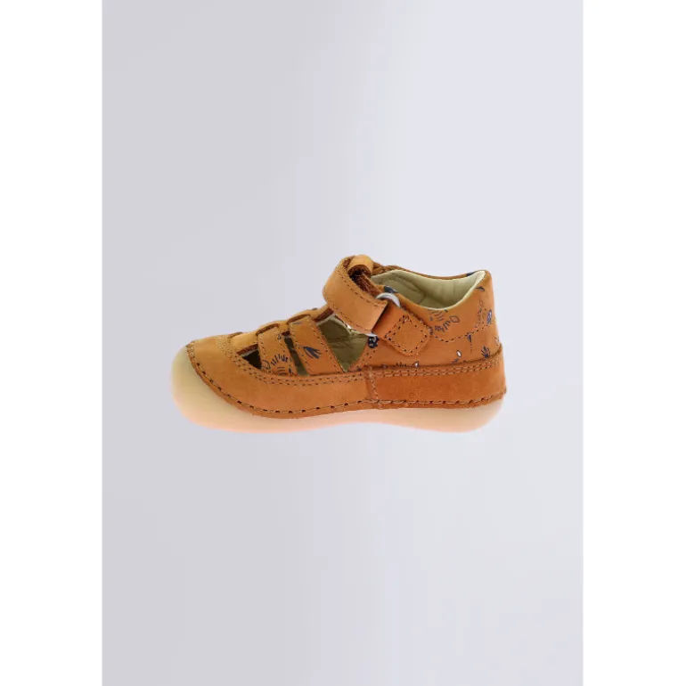 Kick Sushyk Camel Zèbre
