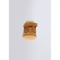 Kick Sushyk Camel Zèbre