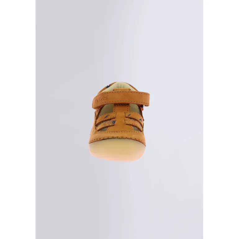 Kick Sushyk Camel Zèbre