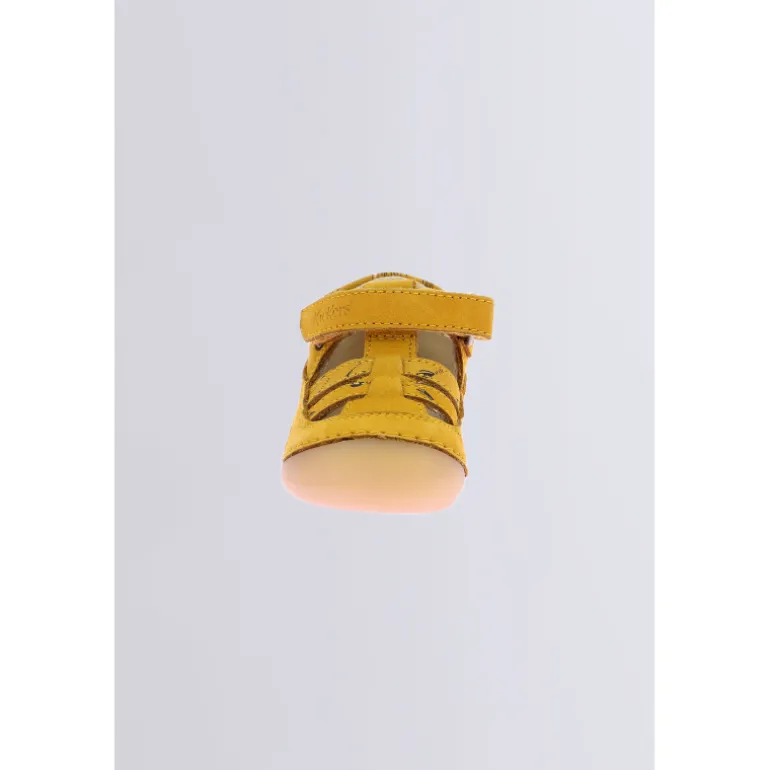 Kick Sushyk Jaune Zèbre