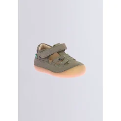 Kick Sushyk Kaki Zèbre
