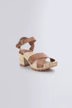 Kick Wise Camel