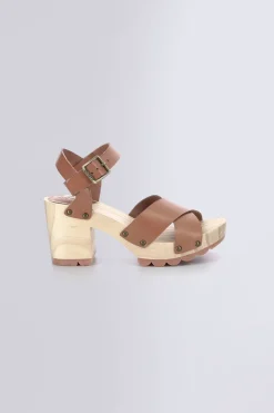 Kick Wise Camel