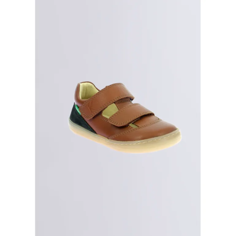 Kickbloom Camel