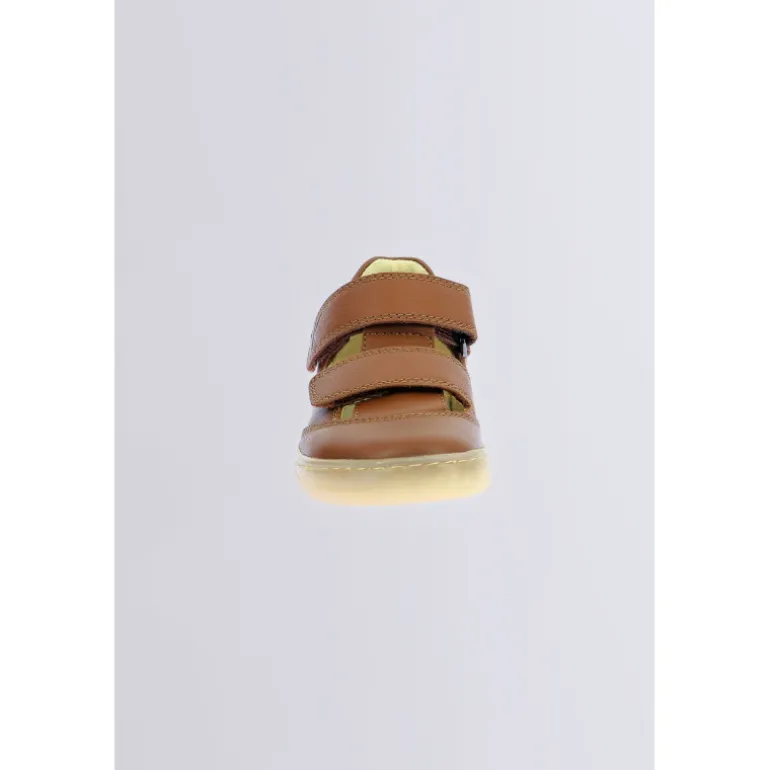 Kickbloom Camel