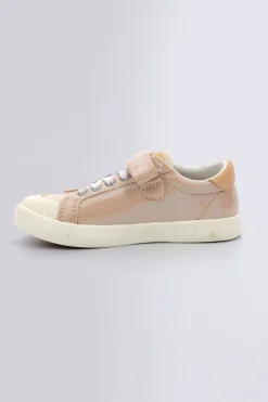 Kickgoldi Rose