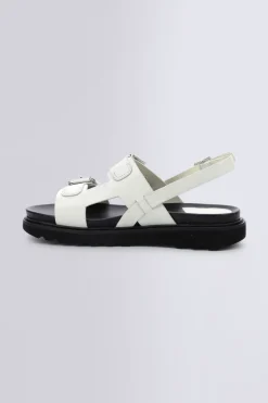 Neosummer Blanc