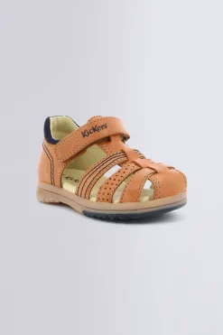 Platiback Camel
