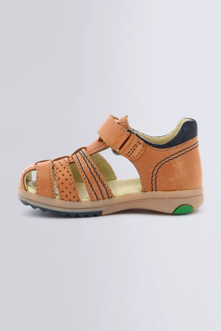 Platiback Camel