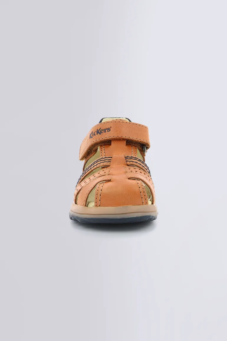 Platiback Camel