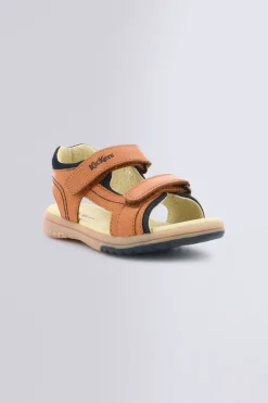 PLATINO CAMEL