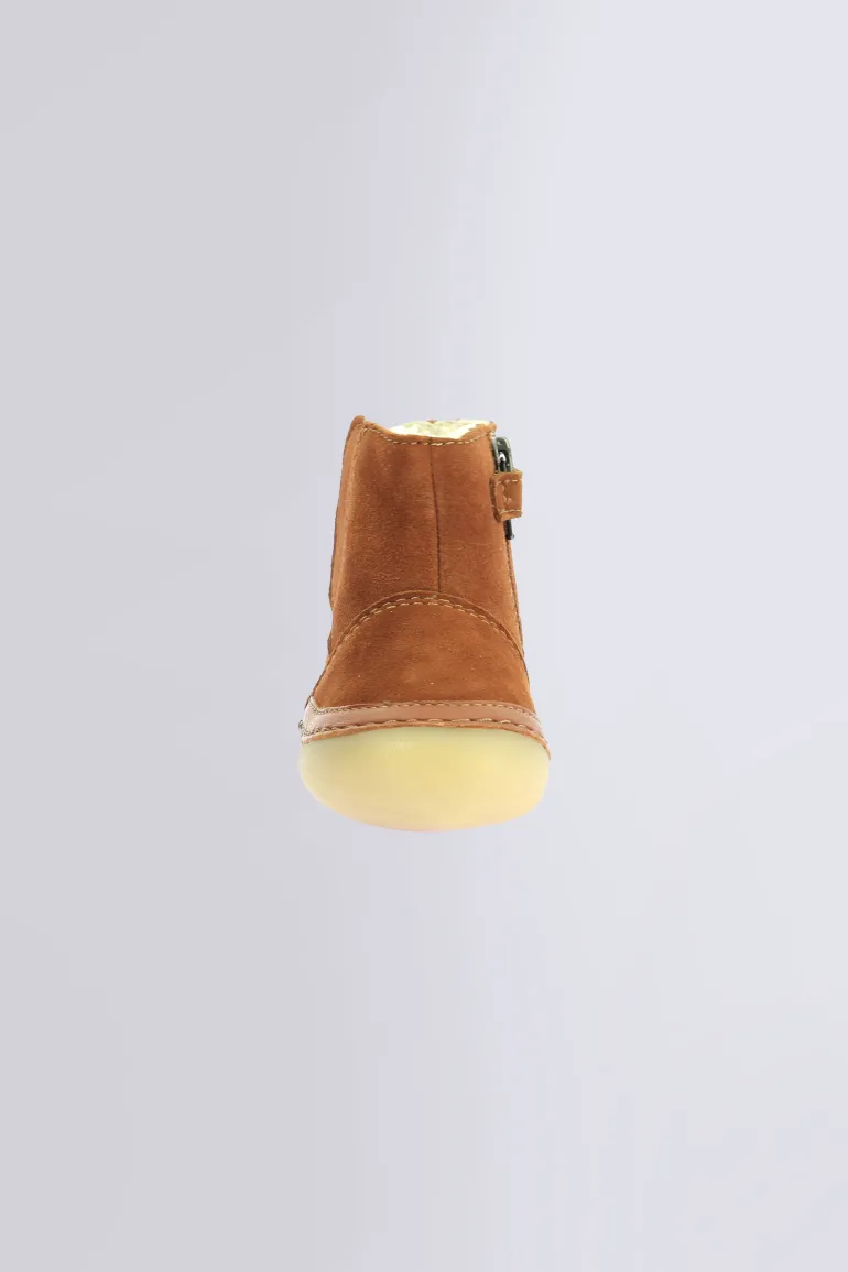 Sokifaune Camel