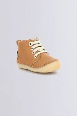 Sonizip Camel