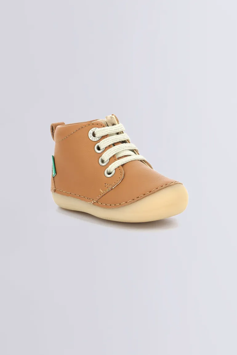 Sonizip Camel
