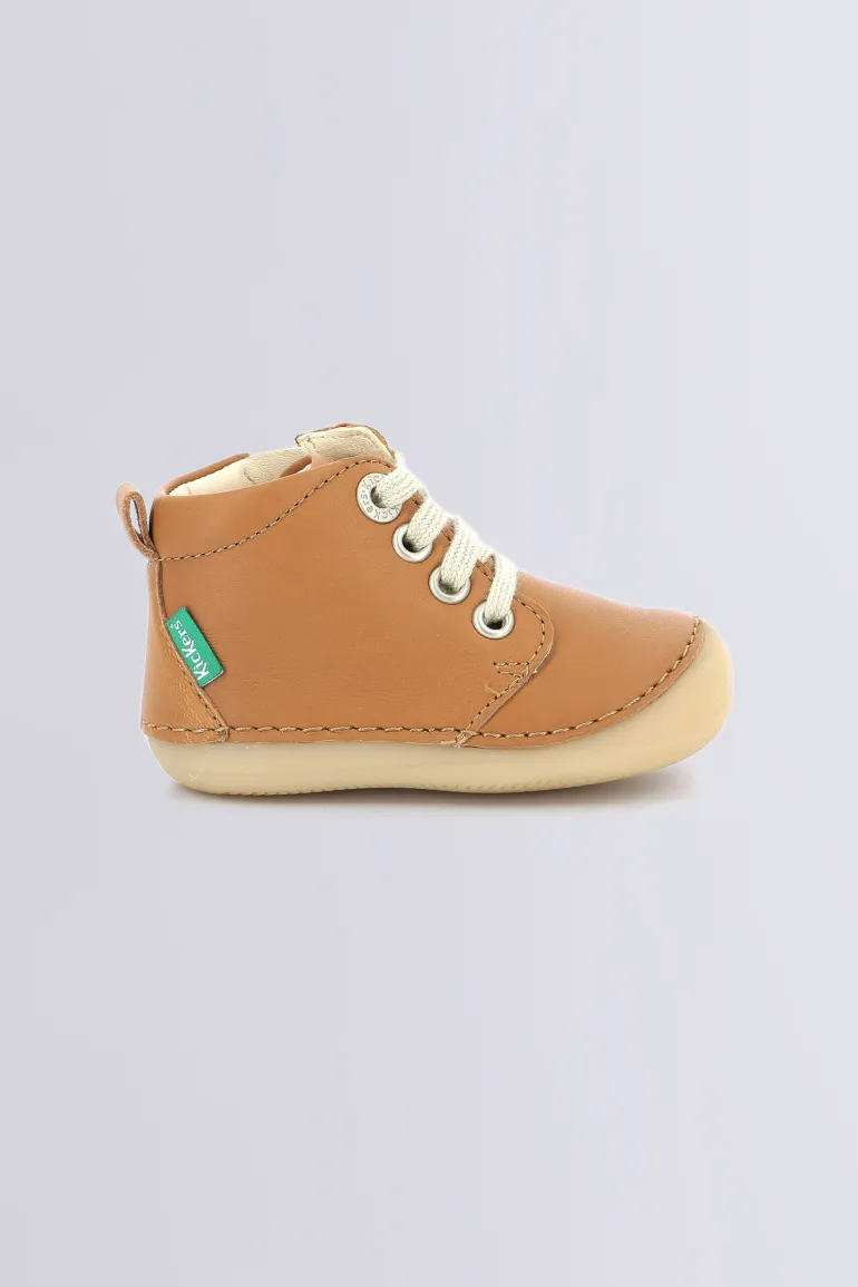 Sonizip Camel