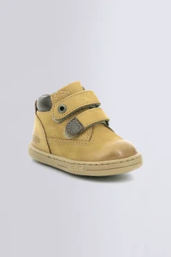 Tackeasy Camel (18-23)