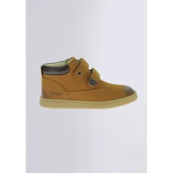 Tackeasy Camel (24-36)