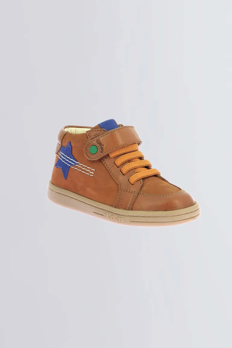 Tackstari Camel