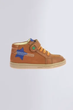 Tackstari Camel