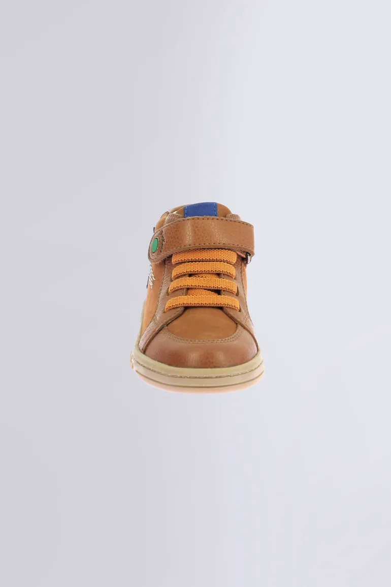 Tackstari Camel