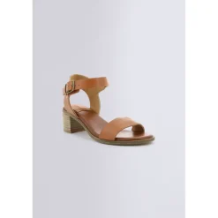 Volou Camel