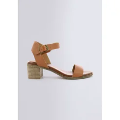 Volou Camel