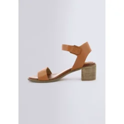 Volou Camel