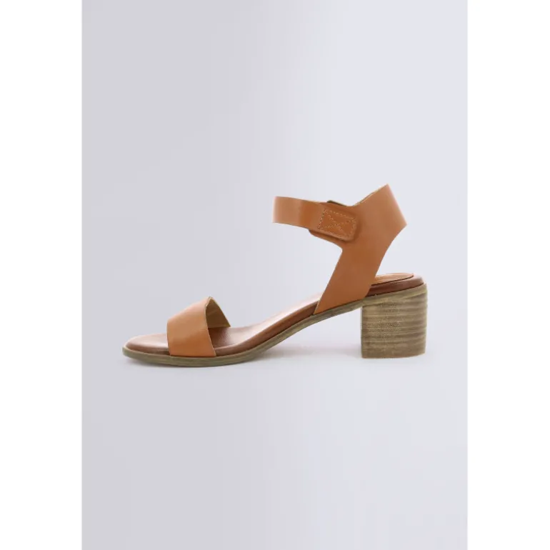 Volou Camel